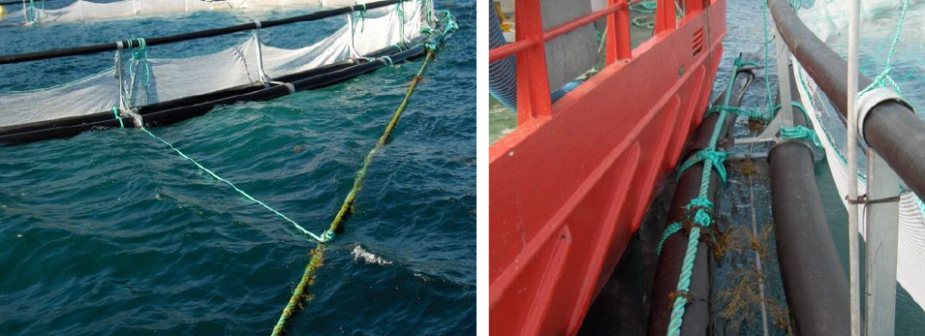 Dette bildet mangler alt-tekst; dets filnavn er Stigeforankring_1-1024x372.png